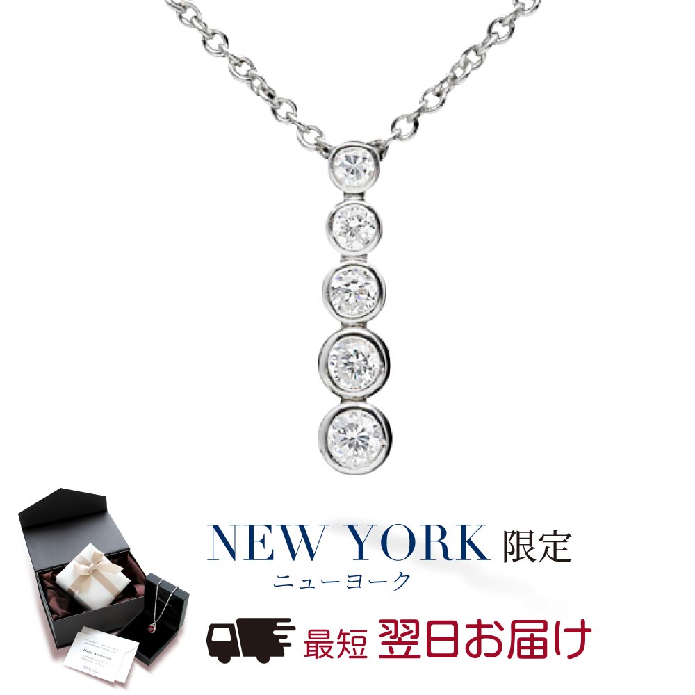 楽天ニューヨークからの贈り物【翌日配送】 ネックレス レディース プラチナ 加工 誕生日プレゼント 結婚記念日 女性 彼女 妻 嫁 母 50代 40代 30代 20代 ギフト 金属アレルギー シンプル 大人 可愛い ブランド