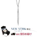 【翌日配送】バー ネックレス レディース ロングネックレス プラチナ 加工 パヴェ 誕生日 プレゼント 結婚記念日 女性 彼女 妻 嫁 ブランド 人気 大人 シンプル 金属アレルギー ニッケルフリー