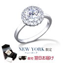 【翌日配送】 指輪 レディース プラチナ 加工 婚約指輪 エンゲージリング プロポーズ 結婚指輪 誕生日プレゼント 結婚記念日 女性 彼女 妻 嫁 母 50代 40代 30代 ブランド 人気 金属アレルギー