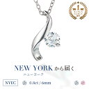 【祝★楽天1位受賞】ニューヨーク