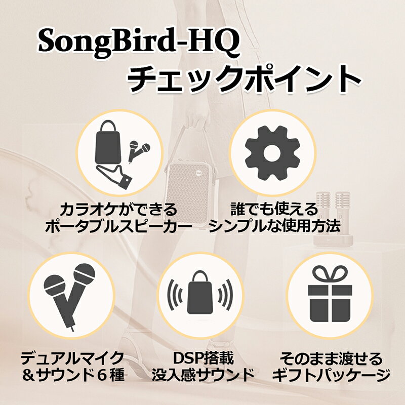 世界中の個性が集まるお店FROMSEEDのDivoomソングバード SongBird-HQ カラオケ スピーカー Bluetooth マイク 充電式 カラオケマイク カラオケセット 家庭用｜アングル2