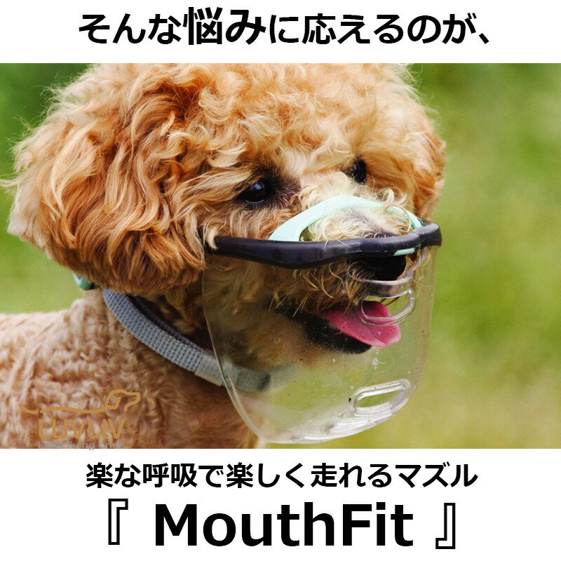 MouthFit �ޥ����ե��å� �� ���� ��ñ���� ������ �������å� ���ѥޥ��� ̵���ʤ� ���ߤĤ��ɻ� �����ʤ� �����ɻ� �ޥ��� �ɻ߸��� �������� �������������å� �ڥå��ѥޥ��� ���ꥶ�٥����顼 ���������ɻߥ��å� ɡ�ڤ��� ������ ���� �ɻ� �夬�������� �������ɻ�