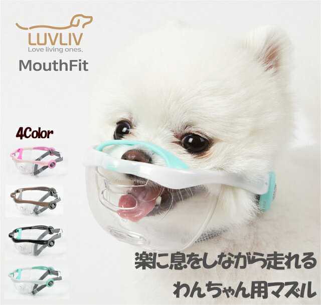 【今一番売れています！】★ MouthFit マウスフィット ★ 犬用マズル 口輪 ワンちゃん　無駄吠え 噛みグセ キズなめ 散…