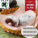 母の日 母の日ギフト 大福 塩豆大福 生クリーム入り 生クリーム 豆塩大福 10個 内祝い お取り寄せ 手土産 お取り寄せ 御歳暮 和菓子 詰め合わせ 大福 御...
