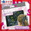 【あす楽対応】【正規品】【髪留め用ヘアアクセサリー】The Original Swinky(ザオリジナルスウィンキー) アシュリーグリーン - ロンドン発、ヨーロッパスタイルの新しい髪留め!【HLS_DU】