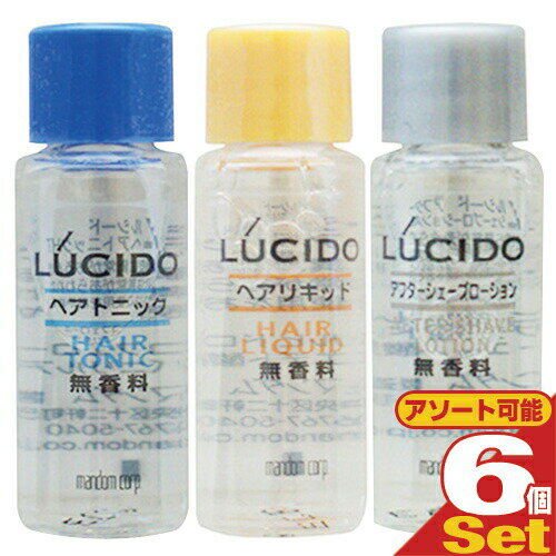 【メール便(日本郵便) ポスト投函 送料無料】【ホテルアメニティ】【業務用化粧品】マンダム(mandom)LUCIDO(ルシード) ミニボトル8ml×6個セット (ヘアトニック・アフターシェーブローション・ヘアリキッドから選択） - 無香料、無着色。【smtb-s】