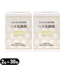 【最強翌日配送対応】【乳酸菌サプリメント】LCH ハタ乳酸菌 2g×30包入×2個セット(計60包) - 生きたまま凍結乾燥加工【smtb-s】