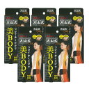 大山式ボディメイクパッド デイリー(Body Make Pad Daily) (旧 プレミアム PREMIUM) x5個 