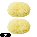 ◆【ネコポス全国送料無料】【天然スポンジ】ユタカ 天然海綿スポンジ(フェイススポンジ) 大(約5~7cm)×2個セット/(NATURAL SEASPONGE ナ...