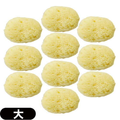 ◆【最強翌日配送 ネコポス送料無料】【天然スポンジ】ユタカ 天然海綿スポンジ(フェイススポンジ) 大(約5~7cm)×10個セット/(NATURAL SEASP...