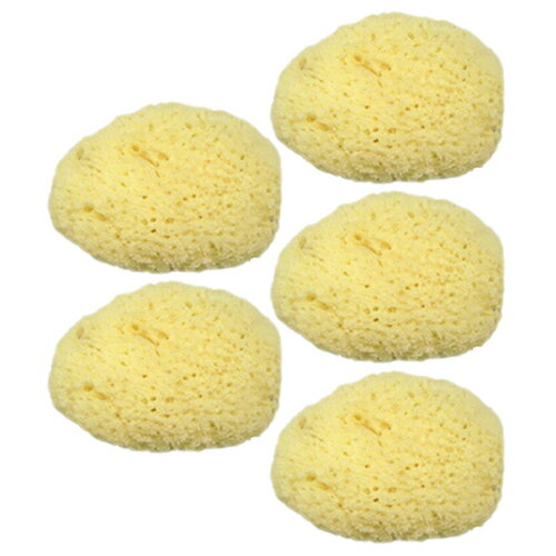 ◆【メール便(日本郵便) ポスト投函 送料無料】【天然スポンジ】ユタカ 天然海綿スポンジ(フェイススポンジ)/(NATURAL SEASPONGE ナチュラル・...