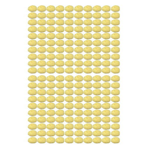 ںǶбۡŷݥ󥸡ۥ楿 ŷʥݥ(եݥ)/(NATUAL SEASPONGE ʥ롦...