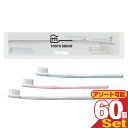 【ネコポス全国送料無料】【ホテルアメニティ】【使い捨て歯ブラシ】【個包装】業務用 日本製 any(エニィ) 使い捨てハブラシセット チューブ歯磨き粉(3g)付き ×60本セット(3色から選択) - 国産業務用歯ブラシ! 【smtb-s】(4)