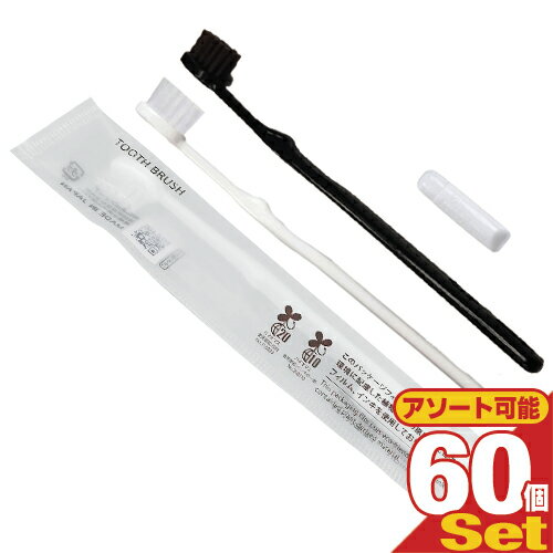 【最強翌日配送 ネコポス送料無料】【ホテルアメニティ】【使い捨て】【個包装】業務用 日本製 使い捨てハブラシセット チューブ歯磨き粉(3g)付き ×60本セット...
