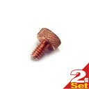 【ネコポス全国送料無料】【コウケントー】カーボン固定ネジ 2個【smtb-s】