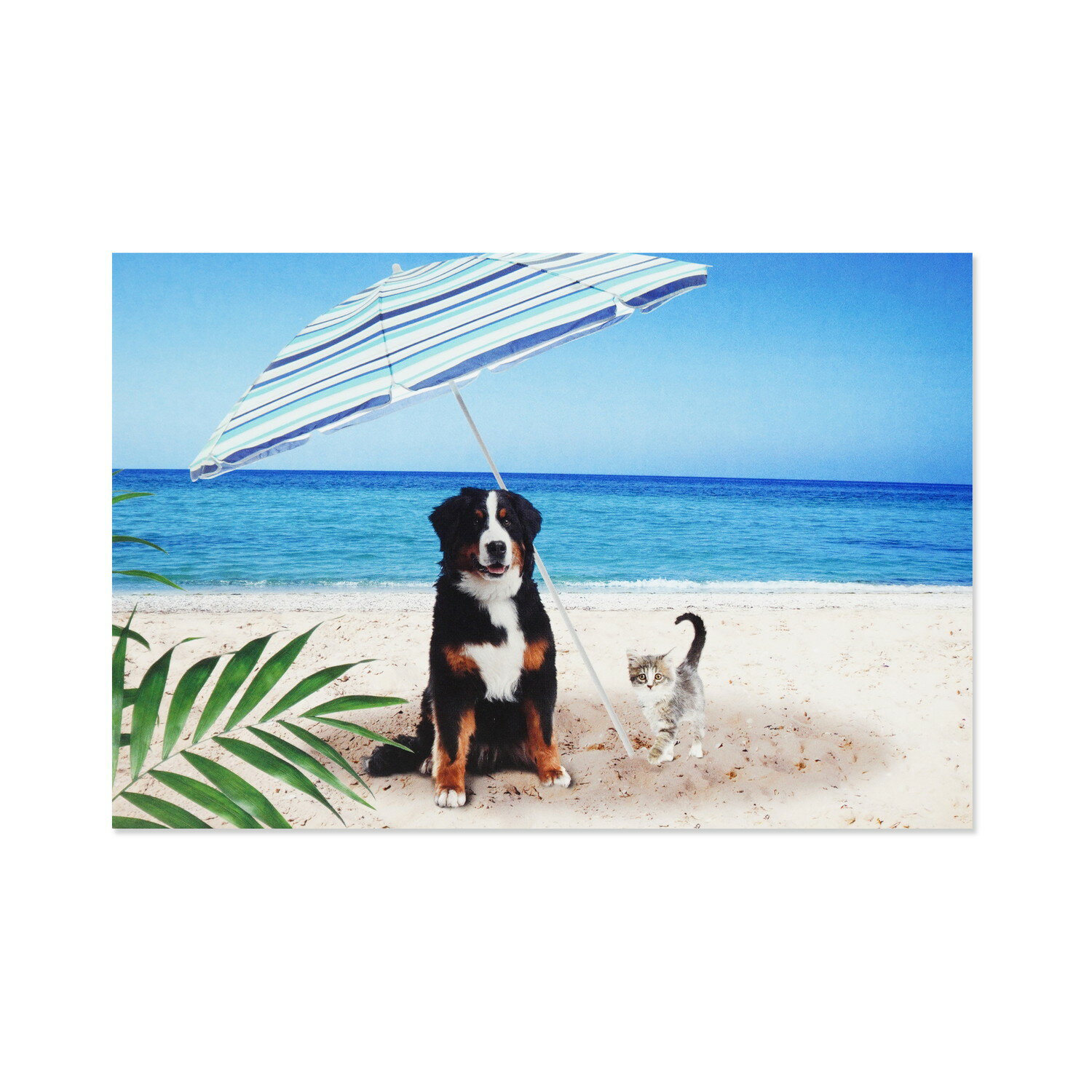 サマーポストカード　パラソル｜pcr-144