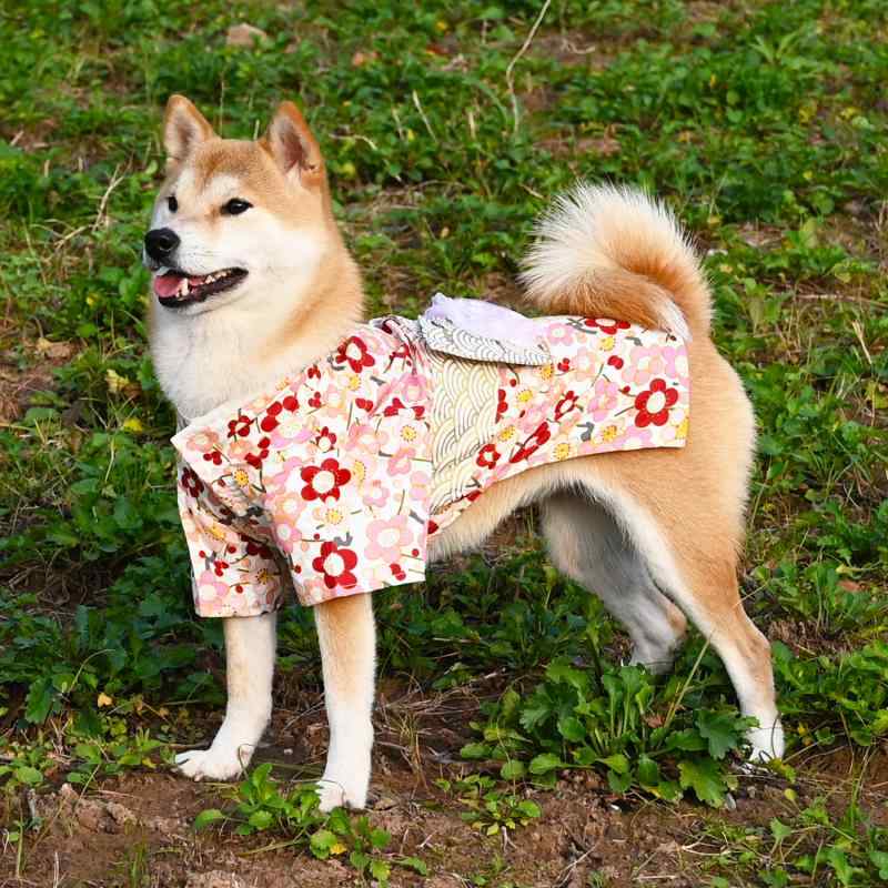 犬の服 ドックウェア かわいい 和 着物 袴 浴衣 写真 撮影 正月 七五三 節句 こどもの日 ひな祭り 誕生日 ペット 猫 赤 青 黒 錦鯉 花 菊 柴