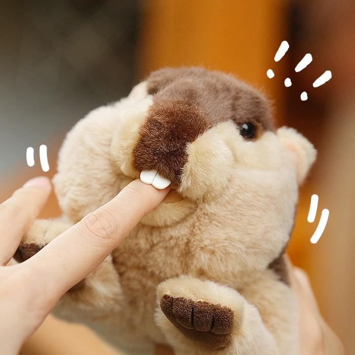 楽天市場】マーモット(ぬいぐるみ|ぬいぐるみ・人形 楽天市場】マーモット(ぬいぐるみ|ぬいぐるみ・人形
