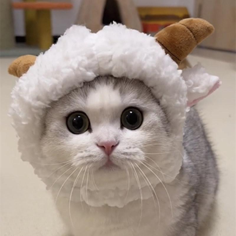おもしろ 帽子 猫 犬 ヘッドバンド 羊 うさぎ 熊 ヘアアクセサリー キャップ 白 茶色 小型 ペット用品 かわいい ふわふわ カチューシャ