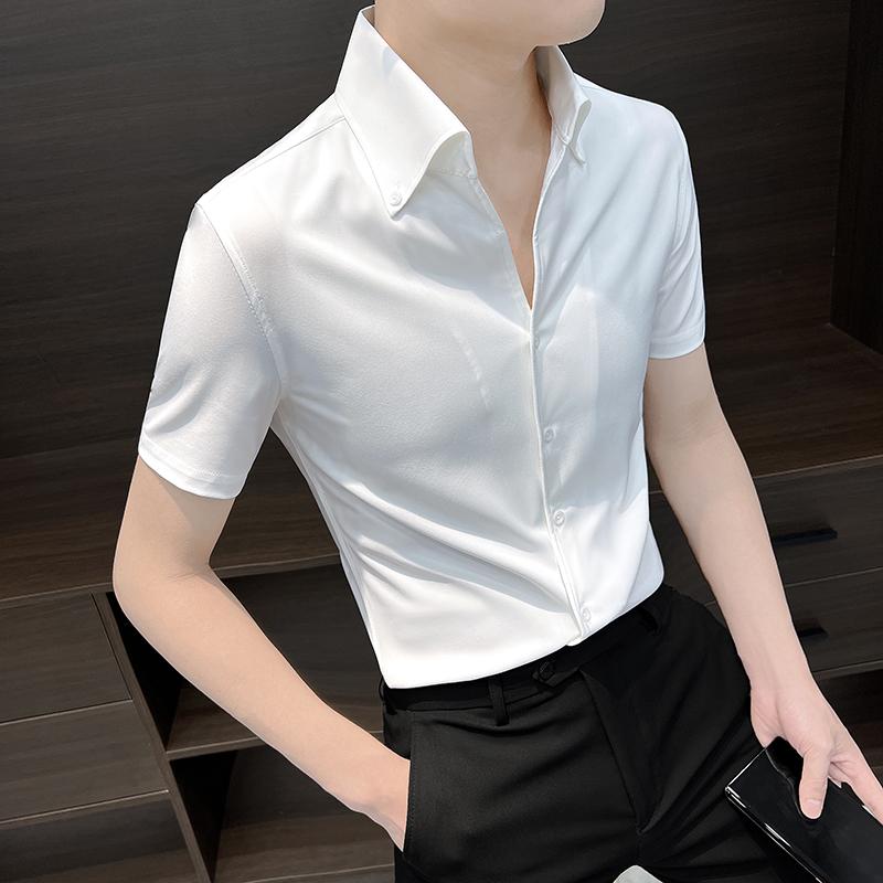     Ⱦµ Ĺµ ʬµ ȥåץ  եå Ҥ ä ɥ顼 礭 ץ 奢...