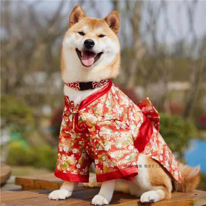 犬服 着物 浴衣 和服 かわいい 写真 撮影 ペット 花柄 波 ピンク 赤 猫 コーギー 柴犬