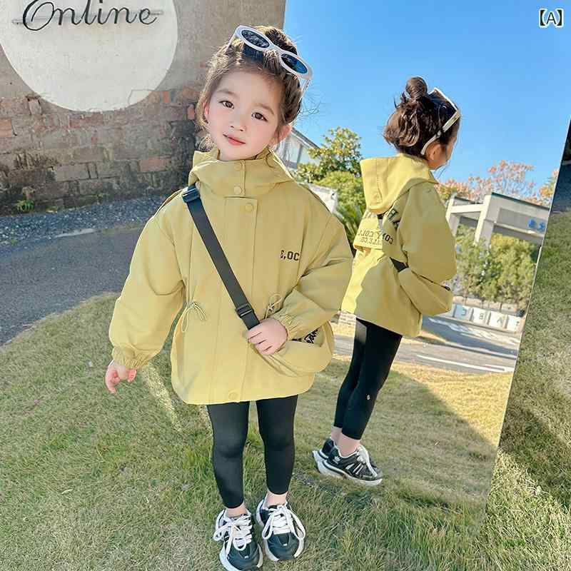 ������ɥ֥졼���� ���å� ���λ� �٥ӡ� ���㥱�å� �ս� ���åץ��å� �ա��� µ������ ���������Хå� �ɴ� ���ե� �̵� ��ä��� �����奢�� ����ץ� �̱� �̳� ���Ф���