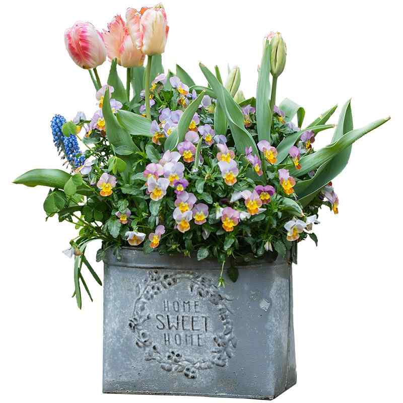ガーデニング雑貨 プランター 園芸用品 鉄製 植木鉢 バケツ レトロ 花 ドライフラワー 多肉植物 庭 バルコニー ベランダ 装飾 かわいい材質：鉄