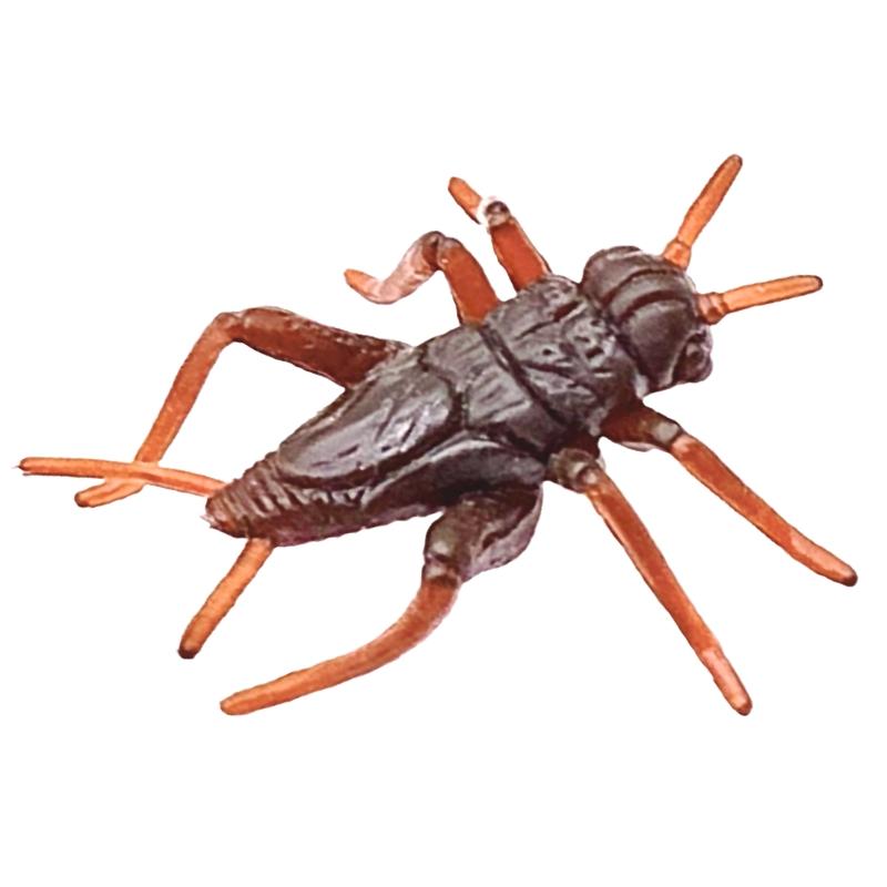 虫 おもちゃ ムシ 生物 リアル そっくり フェイク おもしろ フィギュア 模型 クリケット コオロギ ブラウン 子供 早期 教育 認知 玩具 いたずら ドッキリ アイテムのサムネイル