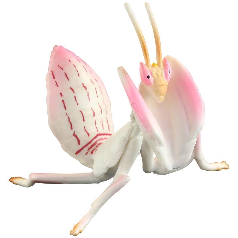 虫 おもちゃ リアル 玩具 教育 子供 知育 昆虫 いたずら ハロウィン サプライズ フィギュア 誕生日 プレゼント カマキリ ピンク