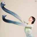 中国 舞踊 衣装 練習着 レディース トップス 水袖 長袖 パンツ セット クラシック パフォーマンス ダンス エレガント シンプル グラデーション 緑 青 大...