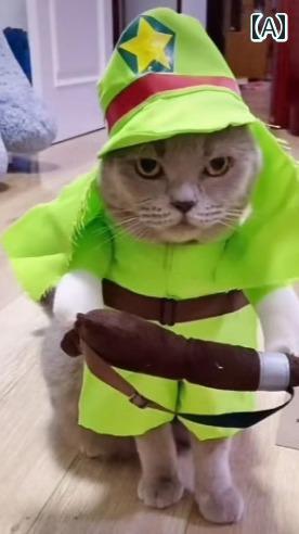 フロントップ楽天市場店の犬 二足歩行 服 ペット 帽子 おもしろ 春 かわいい 猫 コスプレ 衣装 変身 コスチューム ナース 警察官 医者 博士 お嬢様 浦島太郎 乗馬スタイル｜アングル2