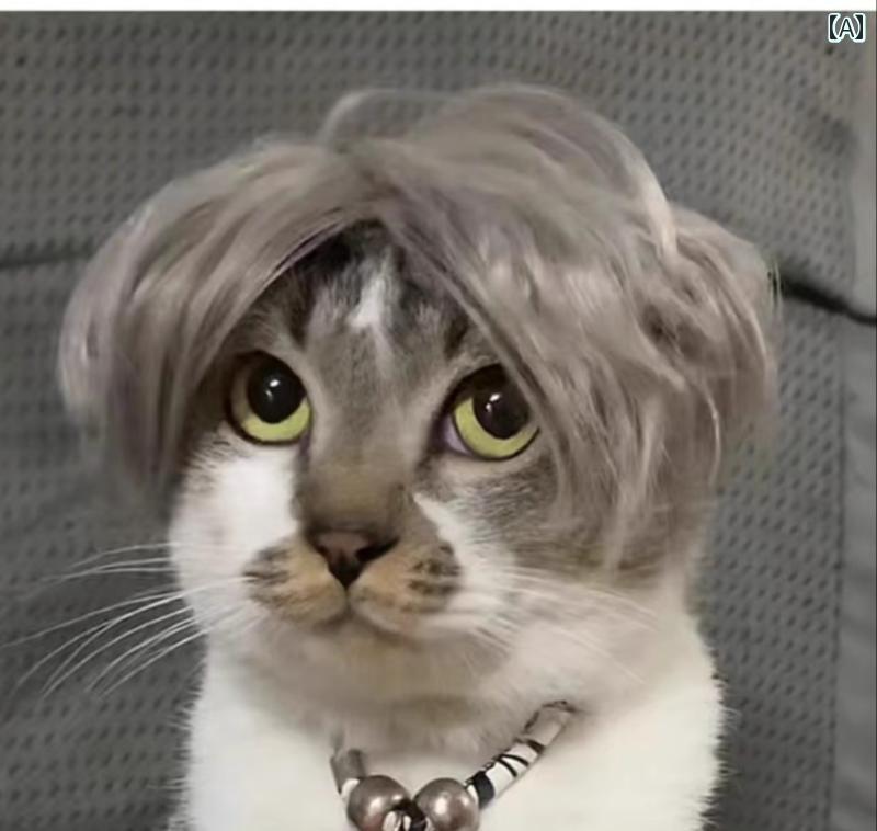ペット 帽子 ウィッグ アフロ 前髪 おさげ 犬 猫 ヘアアクセサリー 被り物 かわいい 変装用 衣装 おもしろ 動物 変身 コスチューム