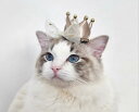 ペット 帽子 誕生日 頭飾り ミニクラウン ヘアピン 猫 犬 装飾 かわいい 写真 撮影用 小道具 かぶりもの 動物 クリップ 赤 ゴールド ピンク