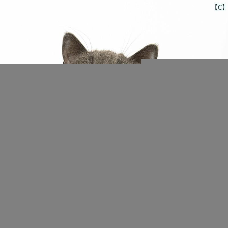 猫 帽子 カウボーイ 装飾 かっこいい スタイ ペット キャットウェア ヘッド アクセサリー ウエスタンハット 犬 写真撮影 小道具 茶 3