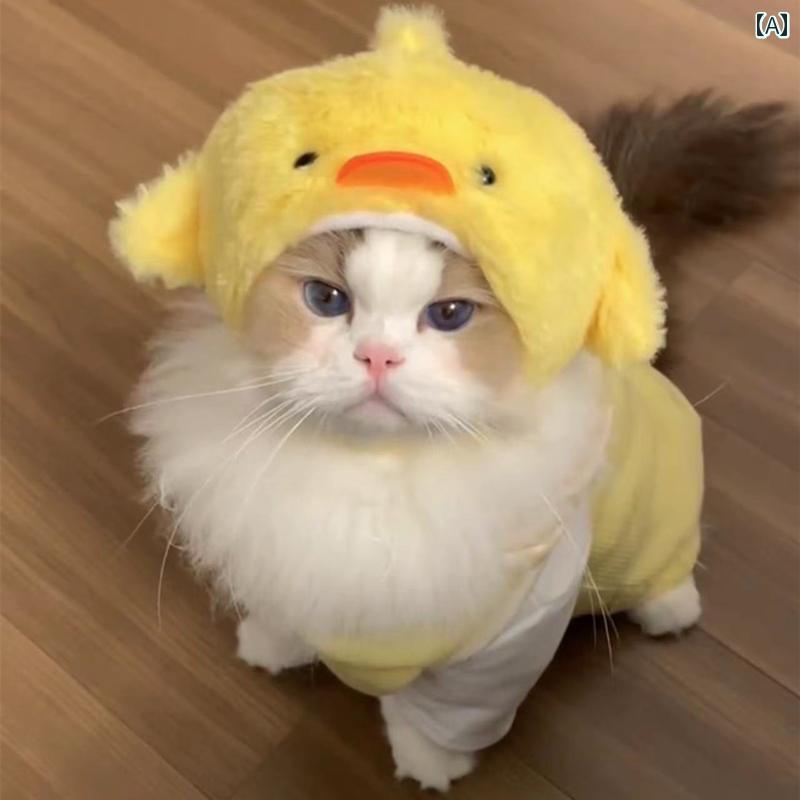 ǭ ˹ ϥå Ҥ褳 ڥå 襤 ̤ ֤ ̿ ƻ    դդ   