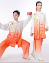 太極拳 服 レディース メンズ 上下セット ベール 練習 発表会 パフォーマンス 通気性 柔らかい 刺繍 カジュアル 大きいサイズ グラデーション 龍 鳳凰