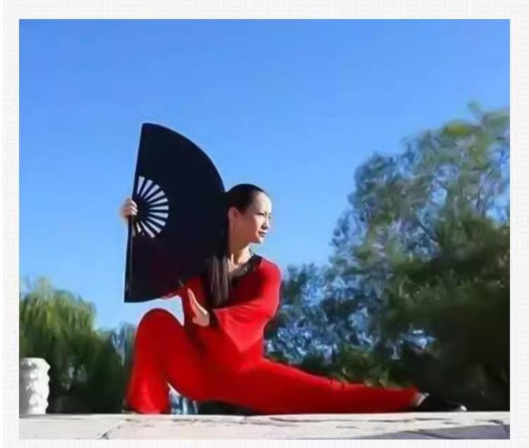 太極拳 扇 カンフーファン 厚手 小学生 ダンス 大人 フィットネス チャイナ風 パフォーマンス ステージ 武術 ブラック レッド ゴールド プラスチック