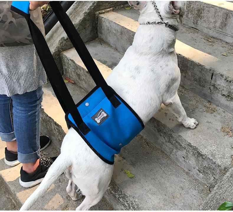  ϡͥ    ڥå ɻ 淿 緿  ̵  æñ  ϥӥ ݡ  ...