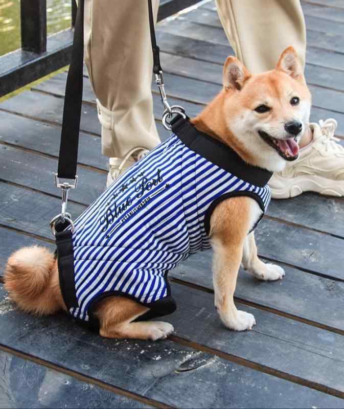  ϡͥ    ڥå ɻ  ̵ Ŭ  æñ  ϥӥ Ѹ ͳ ݡ ...