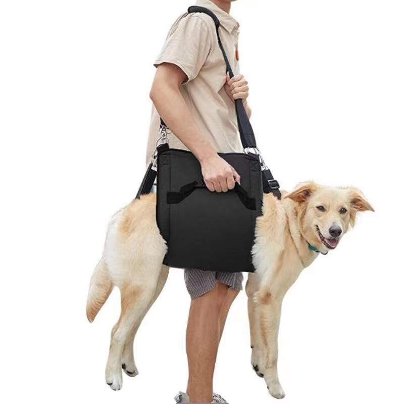  ϡͥ    ڥå 淿 緿 ɻ  Ŭ  æñ Ĵǽ  ϥӥ Ѹ ݡ...