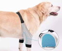 犬 前足 サポーター ペット 膝 パッド 脚 関節炎 緩和 手術 ケガ 靭帯 保護 カバーゴールデンレトリバー 肘 対策 かわいい 大きいサイズ ストライプ 黒 グレー 緑 車 トラ柄(4)