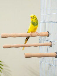 鳥用品 おもちゃ ペット 遊び 噛む 玩具 運動不足 ストレス解消 オウム インコ ポール スティック 爪とぎ 木製 耐久性 かご ケージ 飾り