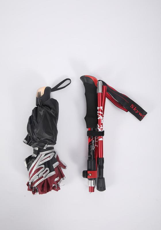 ȥå󥰥ݡޤꤿ   л  ܥ  硼   ϥ ݡ   ...