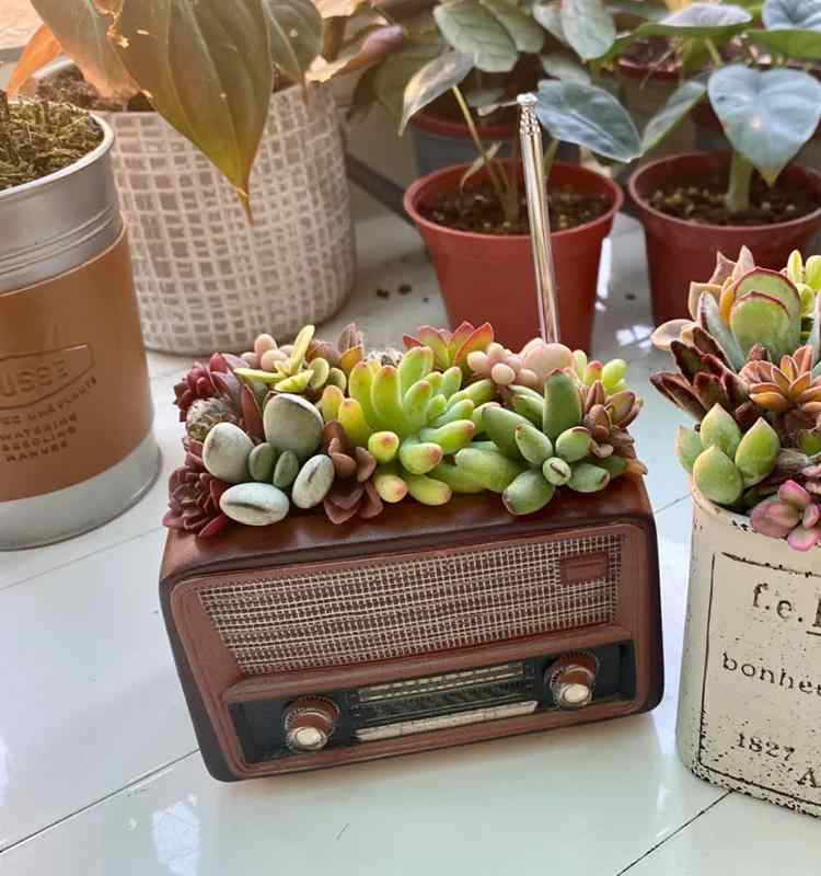 ✳️最終値下げ✳️多肉寄せ植え ピアノ型プランター 水色 0226
