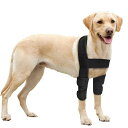 犬 足 関節 サポーター 黒 一色 シンプル 無地 中型 大型 歩行 補助 パッド ペット 膝 手術 傷害 保護 スリーブ カバー ゴールデンレトリーバー ラブラドール オールシーズン(4)