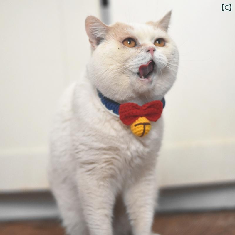 フロントップ楽天市場店の猫 ネックレス 首輪 犬 おしゃれ 鈴 音なし 調節可能 手編み 首飾り ピンク プレゼント 写真 撮影 花柄 さくらんぽ 日常使い アクセサリー 装飾｜アングル3