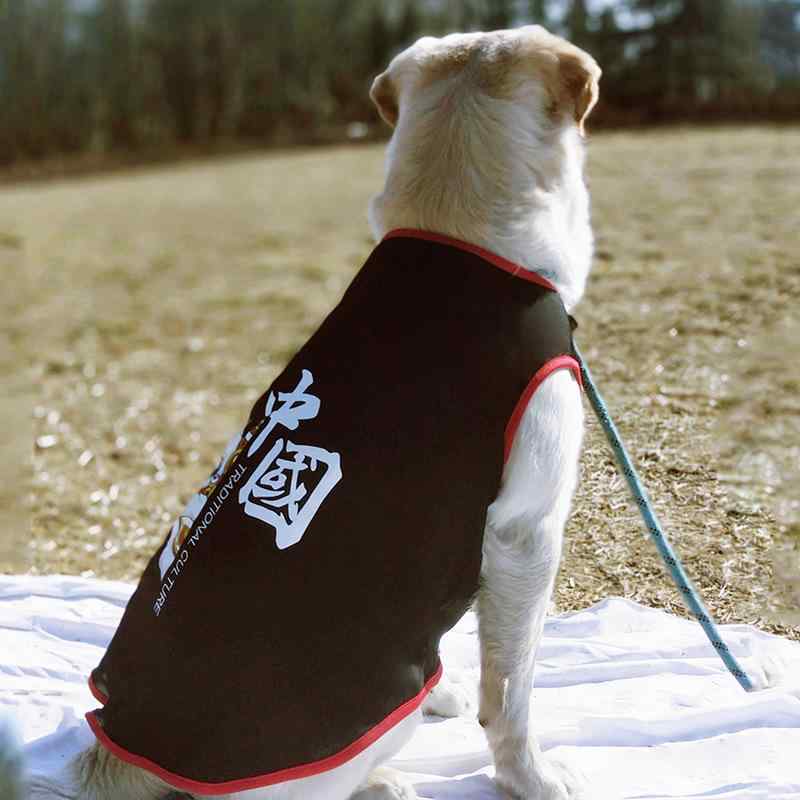 犬 夏服 大きいサイズ チャイナ風 背番号 男の子 ドッグウェア 中型 大型 薄い ラブラドール ゴールデ..