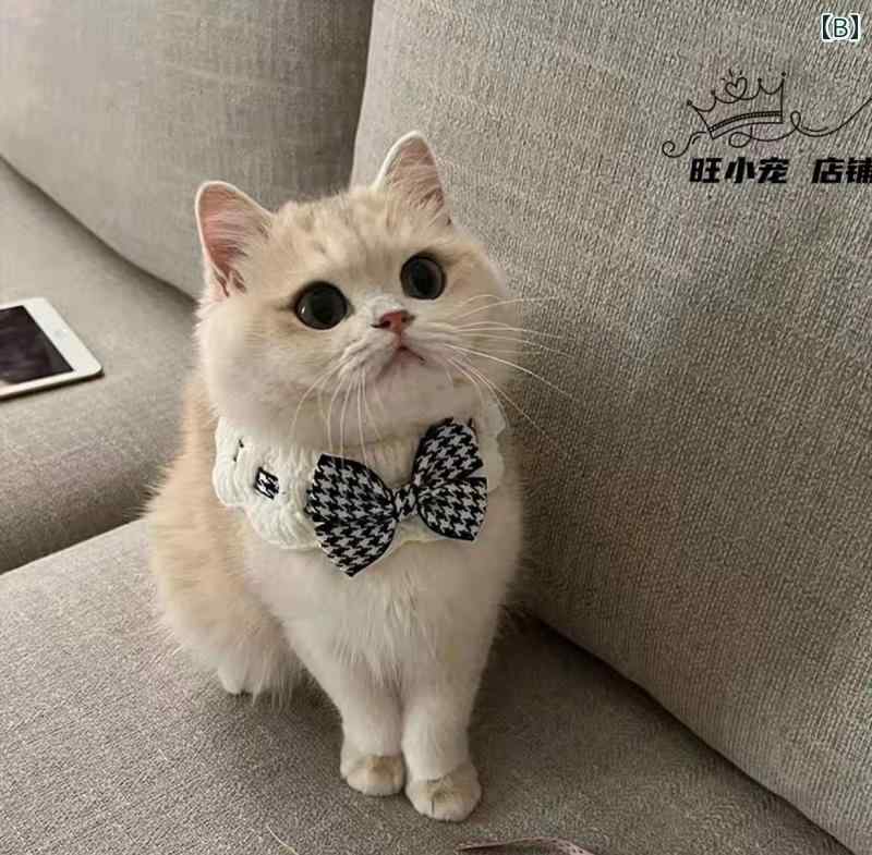 首輪 猫 犬 ペットグッズ アクセサリー チョーカー 調節可能 レース リボン パール...