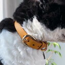 首輪 猫 犬 ペットグッズ アクセサリー 調節可能 ベルト レザー 柔らかい 軽量 日常使い お出かけ おしゃれ シンプル 黄色 青 ピンク