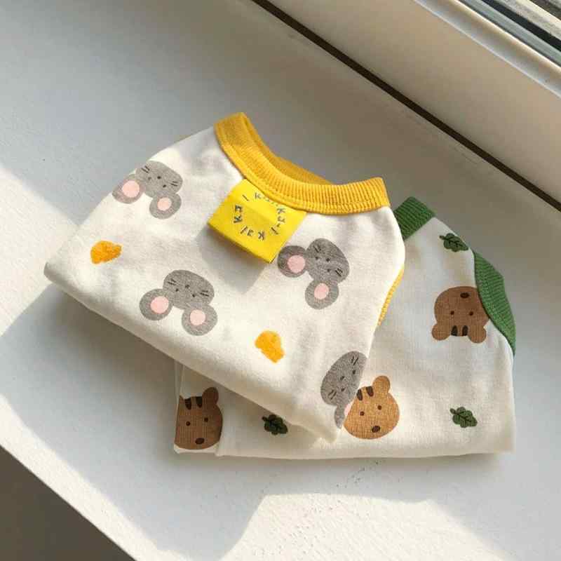   襤 ץ  ݥ˥   ڥå  ƥǥ ӥ 奢 ͥ  ɥå 󥯥ȥ...